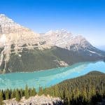 Peyto Lake Lookout - Icefields Parkway - Banff National Park